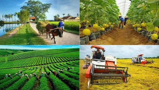 trien khai binh chon thuong hieu vang nong nghiep viet nam nam 2026