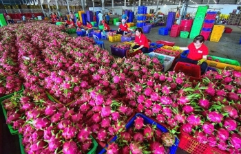 Khuyến khích kêu gọi hợp tác, đầu tư phát triển hệ thống phòng kiểm nghiệm chất lượng nông sản, trái cây