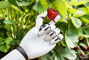 Công nghệ robot AI mới có thể tự điều chỉnh lực kẹp theo từng loại nông sản