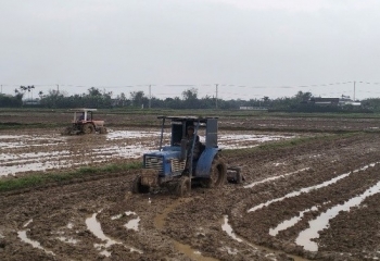 Quảng Trị: Triển khai các biện pháp chuẩn bị cho vụ Hè -Thu năm 2026
