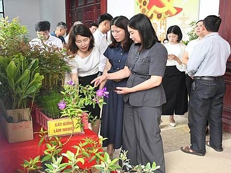 Hải Phòng: Đưa công nghệ vào quản lý rừng, mở hướng sinh kế xanh cho người dân