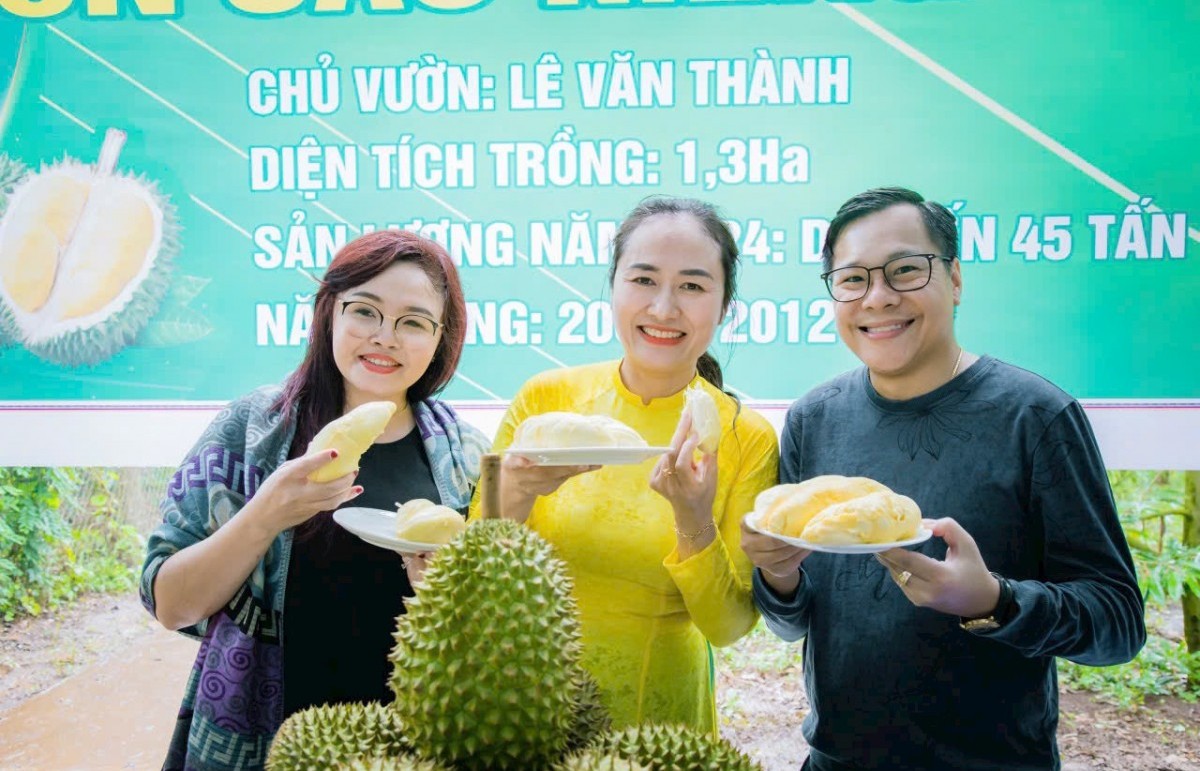 giai bai toan ma so vung trong sau rieng tay nguyen tu thuc trang xen canh ca phe den yeu cau luat hoa