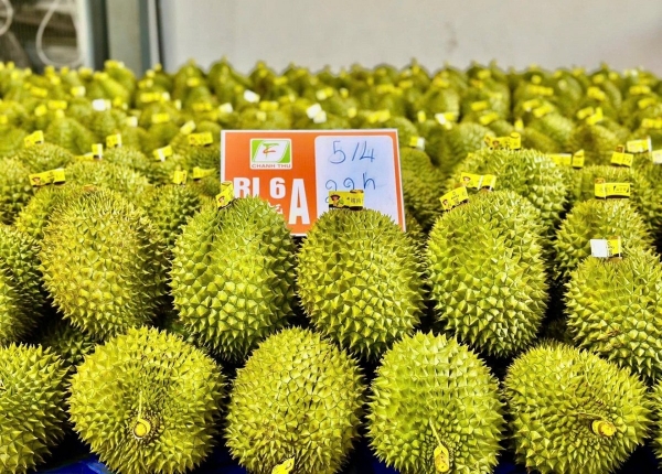 Lâm Đồng: Tăng cường quản lý mã số vùng trồng và cơ sở đóng gói làm đòn bẩy lớn cho xuất khẩu