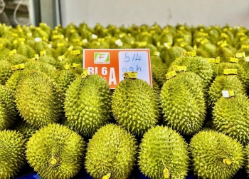 Lâm Đồng: Tăng cường quản lý mã số vùng trồng và cơ sở đóng gói làm đòn bẩy lớn cho xuất khẩu