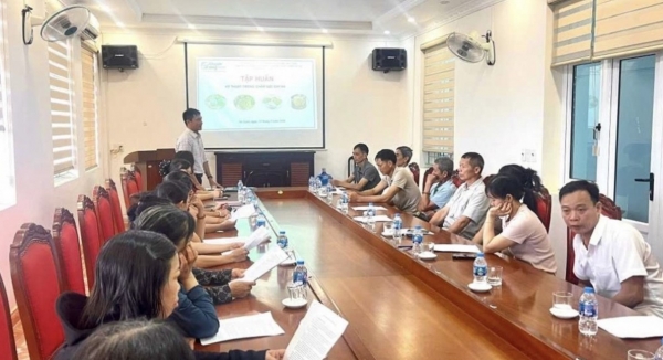 Quảng Ninh: Tổ chức lớp tập huấn kỹ thuật trồng cây Na theo tiêu chuẩn VietGAP