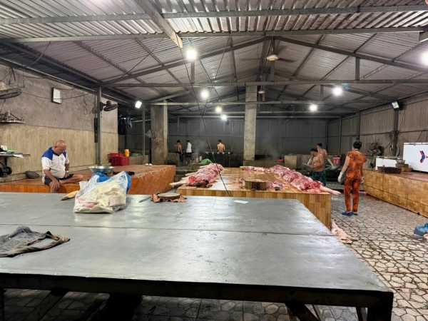 Đồng Tháp: Phát hiện 4 cơ sở giết mổ động vật trái phép, buộc ngưng hoạt động