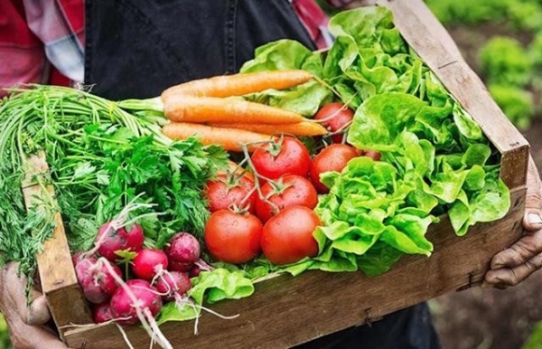 Chợ và sản phẩm hữu cơ - Cầu nối giữa nông nghiệp xanh và người tiêu dùng