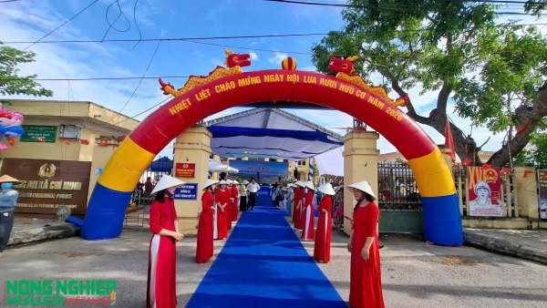 lua ruoi huu co xa chi minh ban hoa ca da tang gia tri