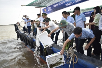 Hưng Yên chung tay làm sạch biển, tái tạo nguồn lợi thủy sản