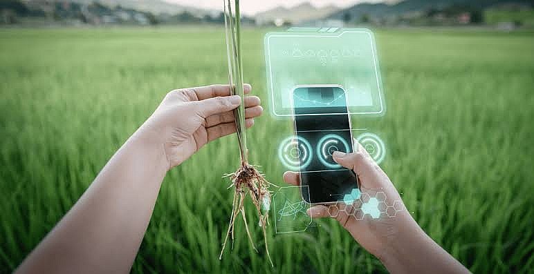 Công nghệ nông nghiệp chính xác chưa phải lời giải cho mọi bài toán sản xuất
