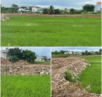 Khoảng trống pháp lý và thực tiễn công tác quản lý đất lúa bị san lấp ở xã Đam Rông 3 (Lâm Đồng)