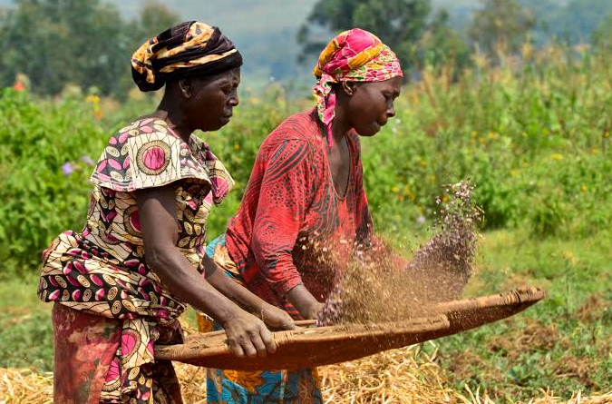 Siêu El Nino có thể gây thiệt hại tới 20 tỷ USD cho các quốc gia châu Phi