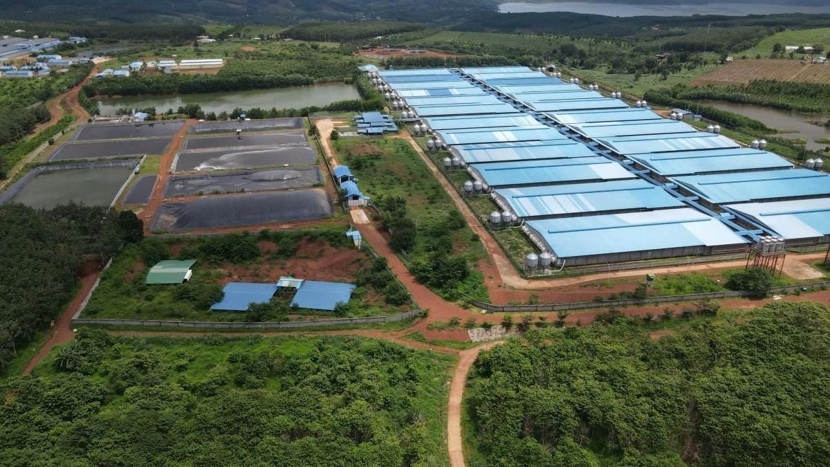 Kiểm tra việc chấp hành về bảo vệ môi trường đối với 5 đơn vị chăn nuôi