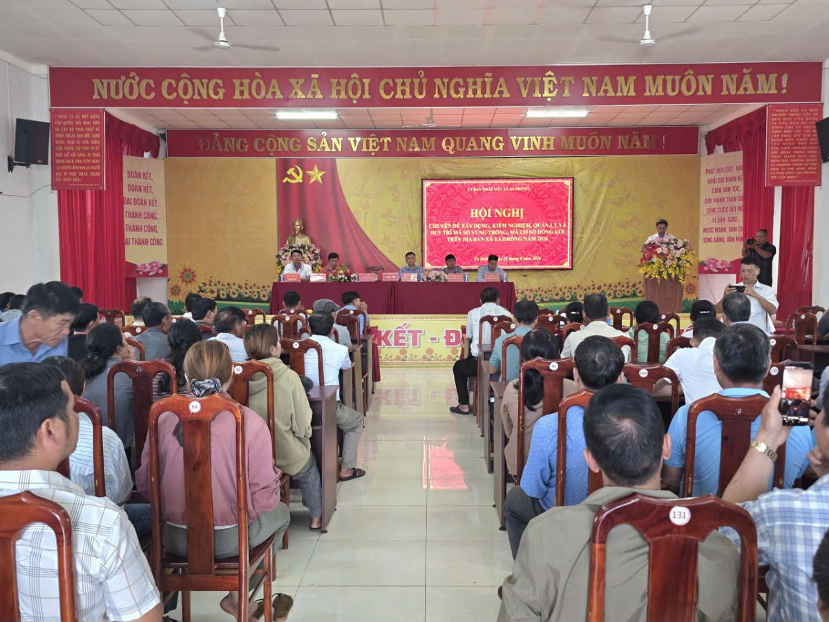 Ea Drông đẩy mạnh xây dựng mã số hóa cho vùng trồng, nâng chuẩn chuỗi giá trị sầu riêng