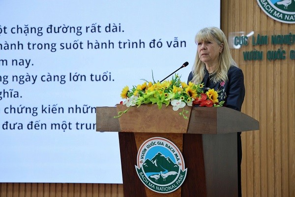 Gấu Millie và hành trình hồi sinh từ “chiếc hộp thời gian”
