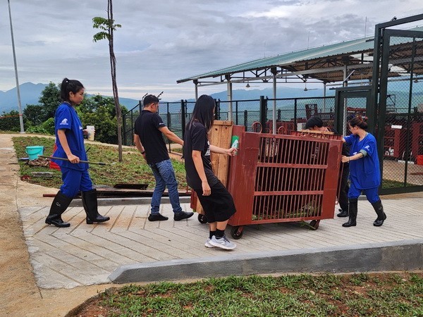 Gấu Millie và hành trình hồi sinh từ “chiếc hộp thời gian”