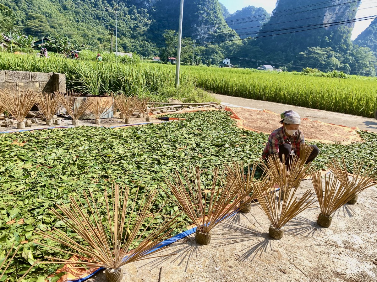 Giữ nghề truyền thống, mở hướng phát triển du lịch trải nghiệm