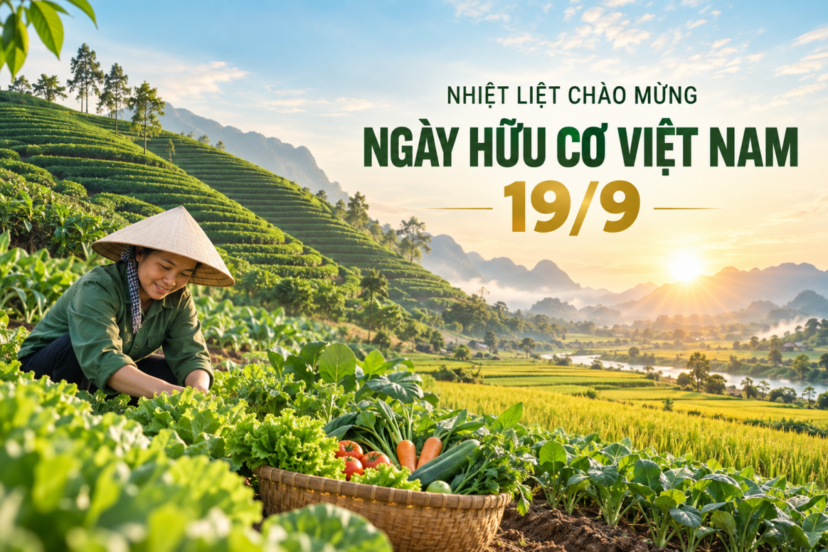 Ngày Hữu cơ Việt Nam 19/9 là dịp tôn vinh những người làm hữu cơ, kết nối cộng đồng và lan tỏa các giá trị của nền nông nghiệp bền vững. Ảnh minh họa.