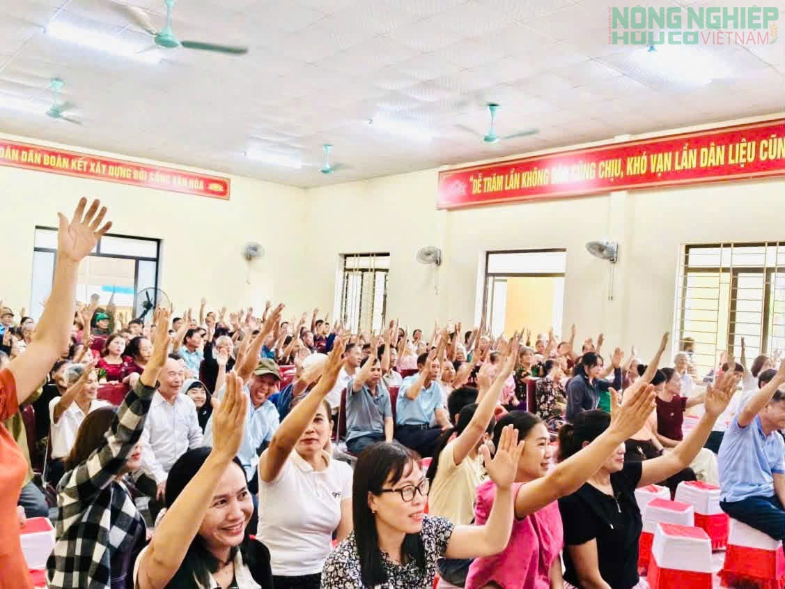 Nghệ An: Cử tri xã Tân Kỳ nô nức đi bầu cử xóm trưởng, nhiệm kỳ 2026 - 2031