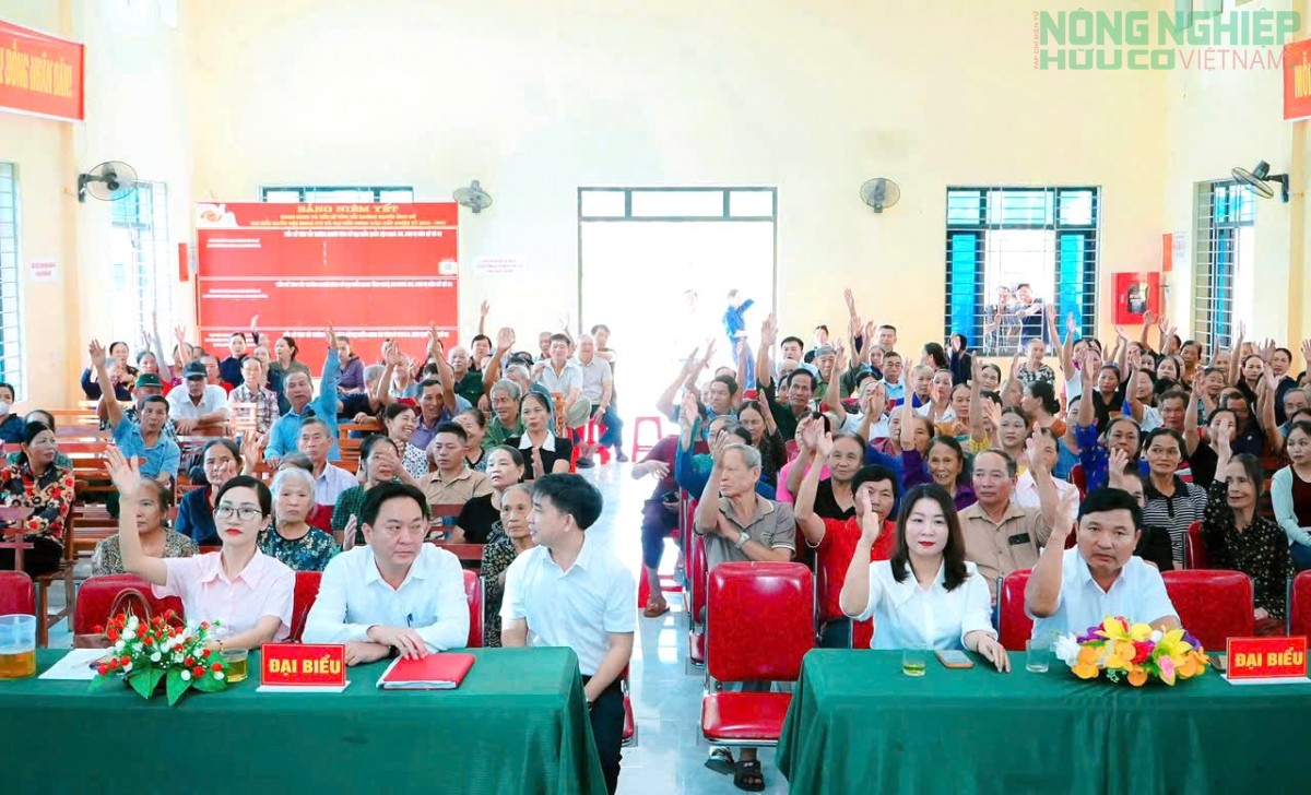 Nghệ An: Cử tri xã Tân Kỳ nô nức đi bầu cử xóm trưởng, nhiệm kỳ 2026 - 2031
