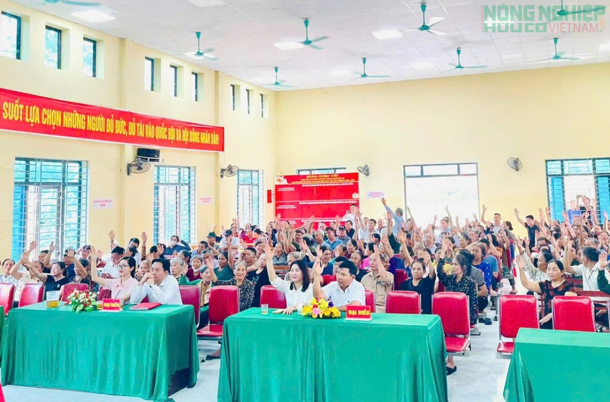 Nghệ An: Cử tri xã Tân Kỳ nô nức đi bầu cử xóm trưởng, nhiệm kỳ 2026 - 2031