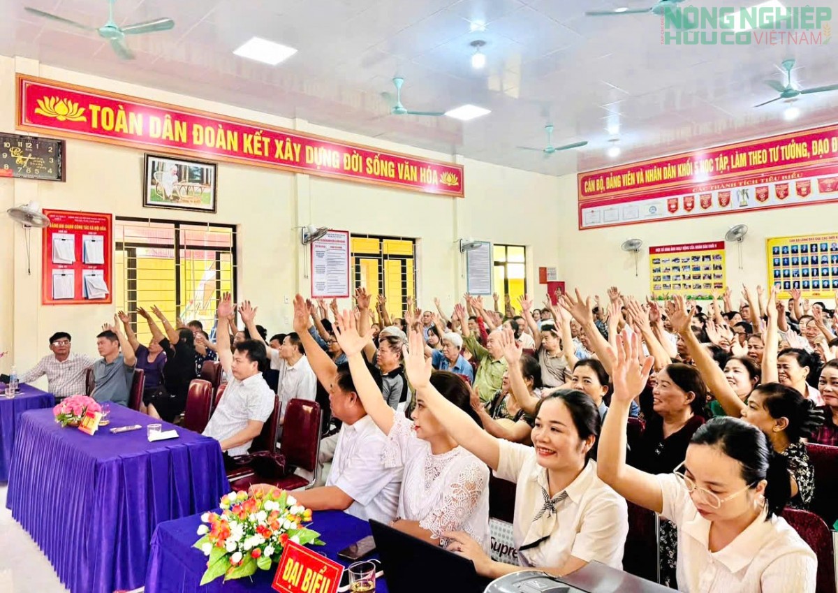 Nghệ An: Cử tri xã Tân Kỳ nô nức đi bầu cử xóm trưởng, nhiệm kỳ 2026 - 2031