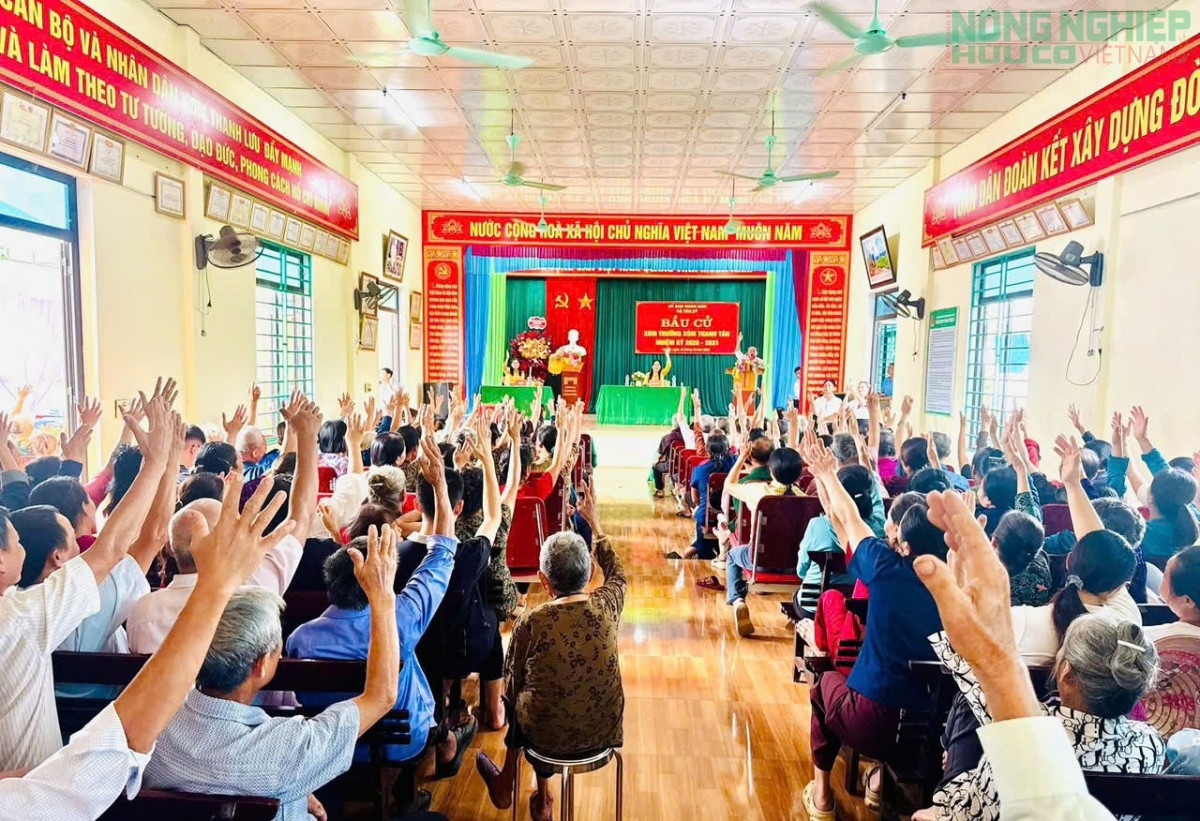Nghệ An: Cử tri xã Tân Kỳ nô nức đi bầu cử xóm trưởng, nhiệm kỳ 2026 - 2031