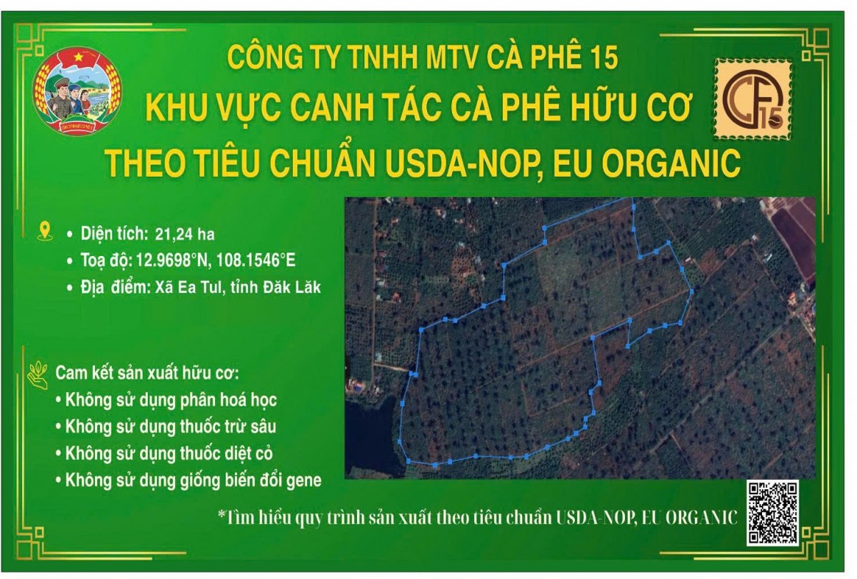 Đắk Lắk phát triển vùng cà phê hữu cơ theo tiêu chuẩn Mỹ và châu Âu hướng đến xuất khẩu