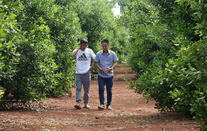 Cố Phó Thủ tướng Nguyễn Công Tạn - người tiên phong đưa cây mắc ca từ Australia về Việt Nam
