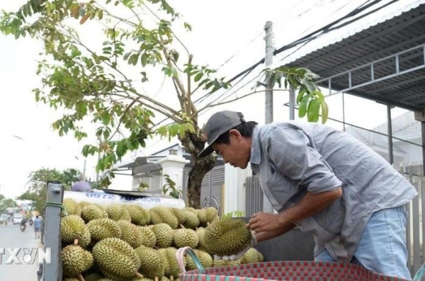 Phát triển các ngành hàng chủ lực ở tỉnh Đồng Tháp: Hình thành chuỗi giá trị mới, sức cạnh tranh cao