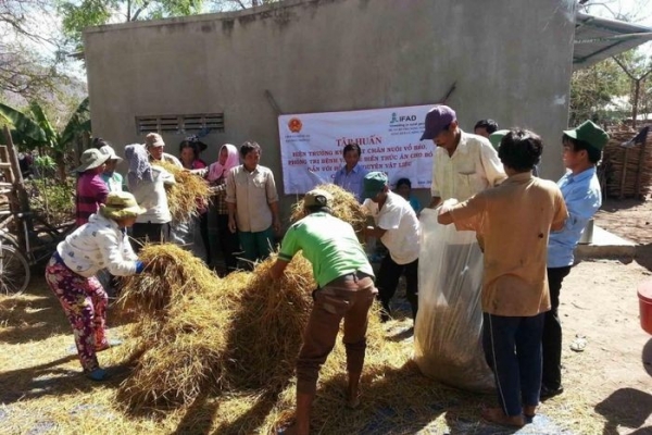 Thêm nguồn lực cho giảm phát thải và bảo vệ rừng