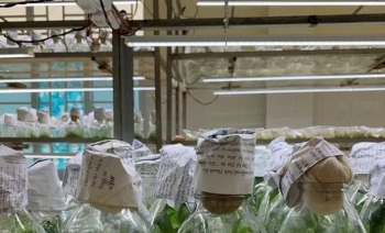 Sưu tầm, bảo tồn và phát triển nguồn gen một số cây trồng, vật nuôi, thủy sản có giá trị trên địa bàn tỉnh Thanh Hóa