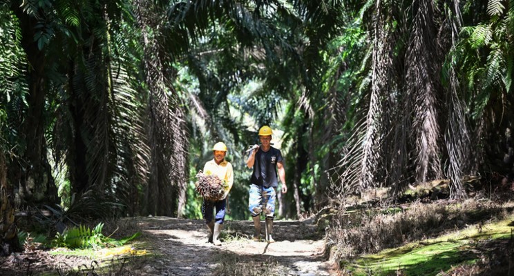 Malaysia định hướng phát triển nền kinh tế sinh học