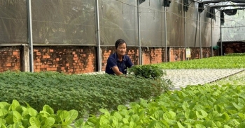 Công nghệ tưới tiết kiệm nước giải phóng sức lao động