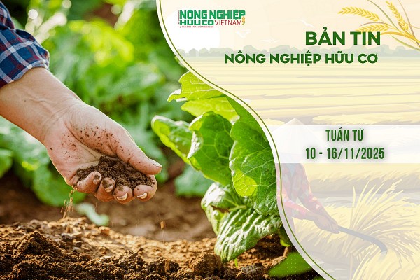 Bản tin Nông nghiệp Hữu cơ, tuần từ 10 - 16/11/2025