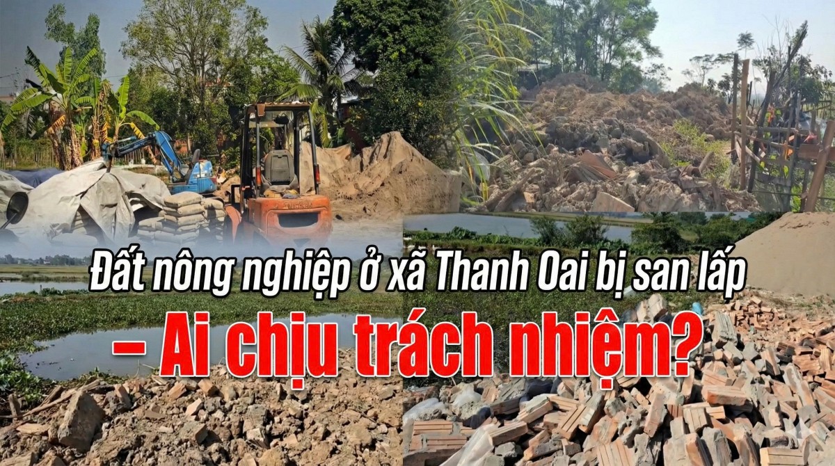 Hà Nội: Đất nông nghiệp Thanh Oai 'tàn phai’ dưới lớp phế thải