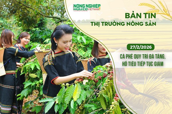 Thị trường nông sản 27/2/2026: Cà phê duy trì đà tăng, hồ tiêu tiếp tục giảm